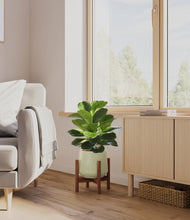 Load image into Gallery viewer, Turquoise stand:walnut