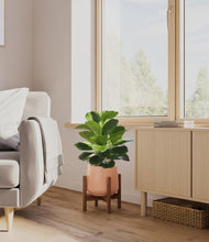 Load image into Gallery viewer, Calm Rose stand:walnut