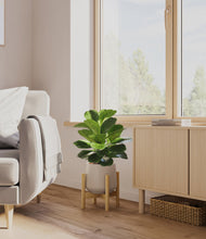 Load image into Gallery viewer, Eternal Gray stand:bamboo