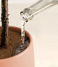 Load image into Gallery viewer, Calm Rose stand:all