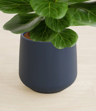 Load image into Gallery viewer, Deep Navy stand:all