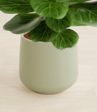 Load image into Gallery viewer, Turquoise stand:all