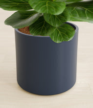 Load image into Gallery viewer, Deep Navy stand:all