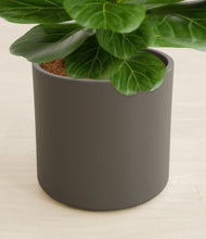 Load image into Gallery viewer, Dark Olive stand:all