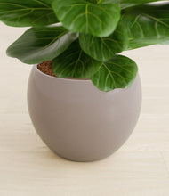 Load image into Gallery viewer, Winter Clouds stand:all