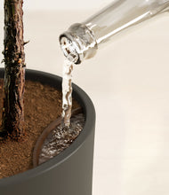 Load image into Gallery viewer, Dark Olive stand:all