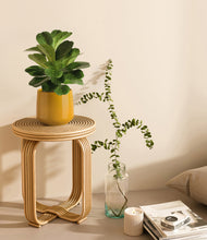 Load image into Gallery viewer, Calm Rose