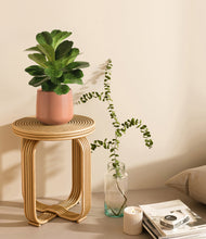 Load image into Gallery viewer, Turquoise