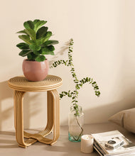 Load image into Gallery viewer, Calm Rose