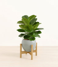 Load image into Gallery viewer, Deep Ocean stand:bamboo