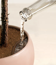 Load image into Gallery viewer, Calm Rose stand:all