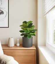 Load image into Gallery viewer, Dark Olive