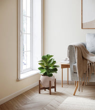 Load image into Gallery viewer, Desert Brown stand:walnut