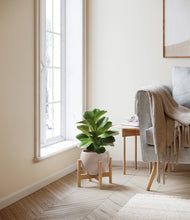 Load image into Gallery viewer, Desert Brown stand:bamboo