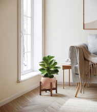 Load image into Gallery viewer, Calm Rose stand:walnut