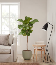 Load image into Gallery viewer, Sage Green