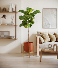 Load image into Gallery viewer, Earth Red stand:light