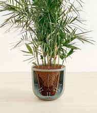 Load image into Gallery viewer, Sage Green stand:all