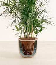 Load image into Gallery viewer, Sandy Pink stand:all