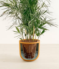 Load image into Gallery viewer, Sunset Orange stand:all