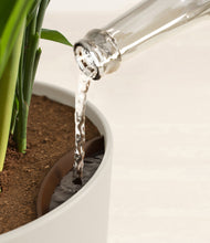 Load image into Gallery viewer, Natural Bamboo stand:all