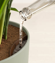 Load image into Gallery viewer, Sage Green stand:all