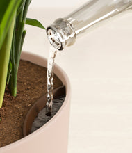 Load image into Gallery viewer, Sandy Pink stand:all