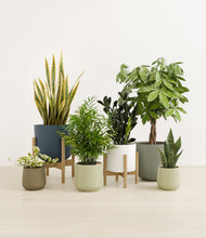 Lade das Bild in den Galerie-Viewer, Earthy stand:two_stands