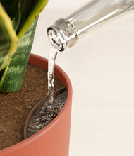 Load image into Gallery viewer, Earth Red stand:all