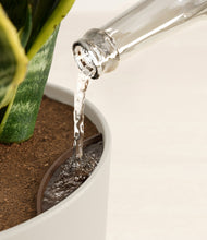 Load image into Gallery viewer, Natural Bamboo stand:all