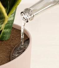 Load image into Gallery viewer, Sandy Pink stand:all