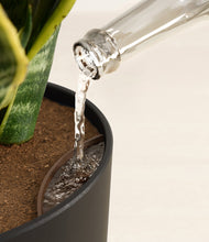 Load image into Gallery viewer, Stone Black stand:all