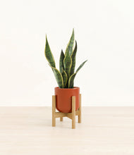 Load image into Gallery viewer, Glossy Red stand:bamboo