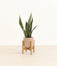 Load image into Gallery viewer, Glossy Pink stand:bamboo