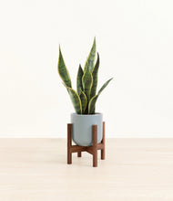 Load image into Gallery viewer, Misty Blue stand:walnut