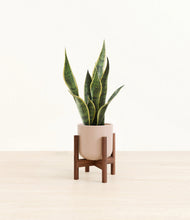 Load image into Gallery viewer, Sandy Pink stand:walnut