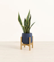 Load image into Gallery viewer, Deep Navy stand:bamboo