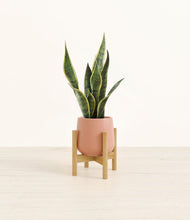 Load image into Gallery viewer, Calm Rose stand:bamboo