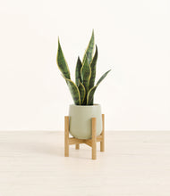Load image into Gallery viewer, Turquoise stand:bamboo