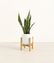 Load image into Gallery viewer, White stand:bamboo