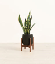 Load image into Gallery viewer, Black stand:walnut