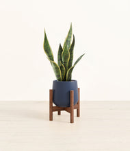 Load image into Gallery viewer, Deep Navy stand:walnut