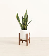 Load image into Gallery viewer, White stand:walnut