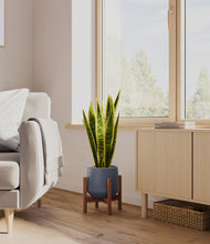 Load image into Gallery viewer, Deep Navy stand:walnut