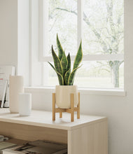 Load image into Gallery viewer, Almond Green stand:bamboo