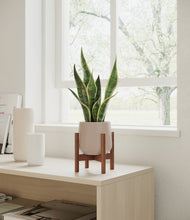 Load image into Gallery viewer, Eternal Gray stand:walnut