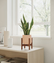 Load image into Gallery viewer, Gentle Pink stand:walnut