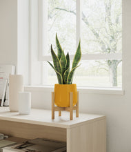 Load image into Gallery viewer, Mustard stand:bamboo