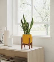 Load image into Gallery viewer, Mustard stand:walnut