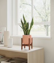 Load image into Gallery viewer, Calm Rose stand:walnut